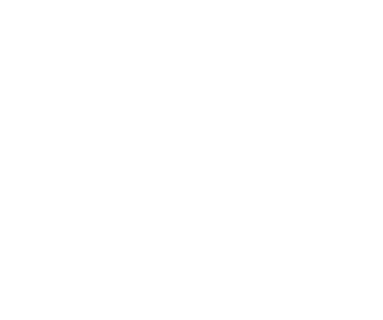 Flash Renovation